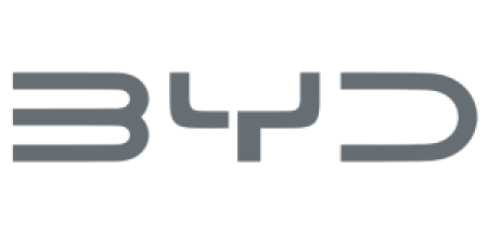 Logo BYD Ambon